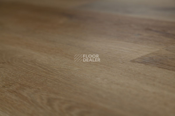 Tarkett Funky House BOB фото 3 | FLOORDEALER